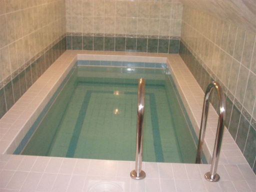 Бассейн в сауне
