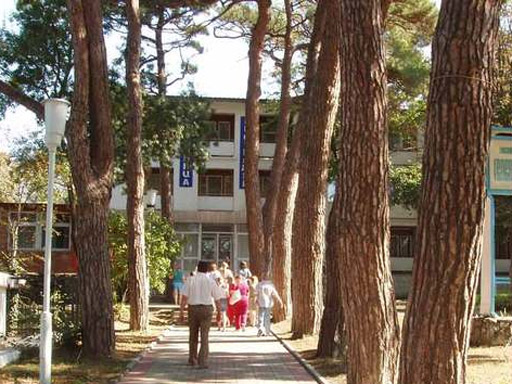 Внешний вид