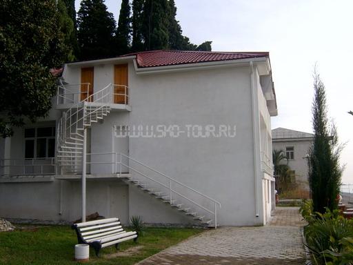 Внешний вид