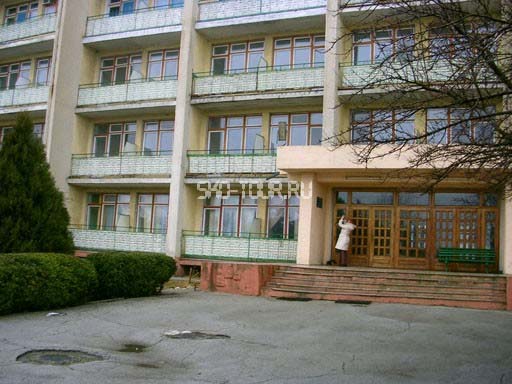 Внешний вид