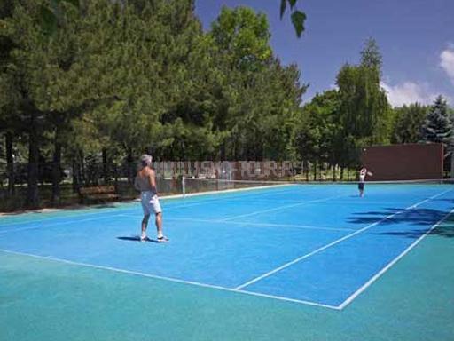 Теннисный корт