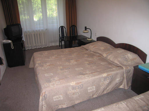 2-х местный 1-но комнатный Огниково парк-отель