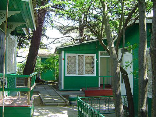 Внешний вид