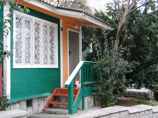 Внешний вид