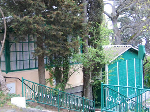 Внешний вид