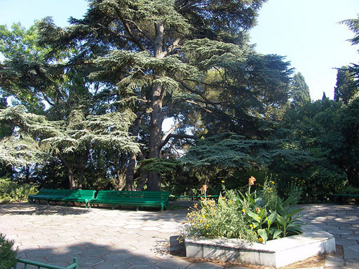 Территория