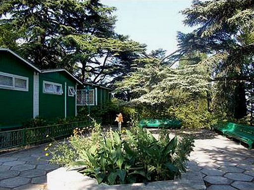 Территория