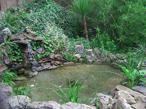 Декоративный бассейн