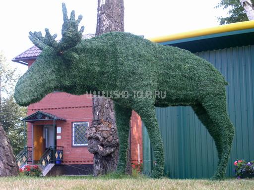 На территории