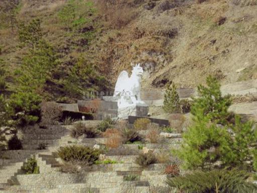 Территория