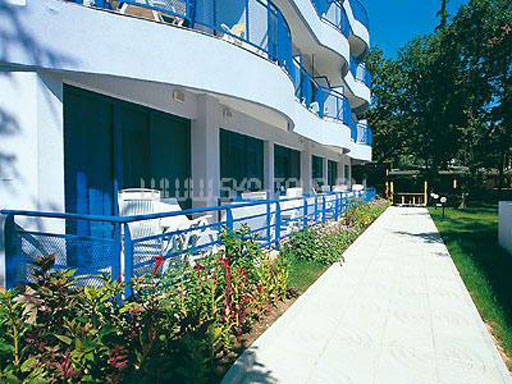 Внешний вид