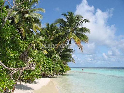 Vilamendhoo Island Resort