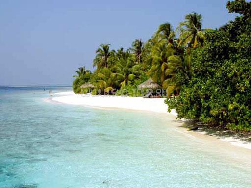 Территория