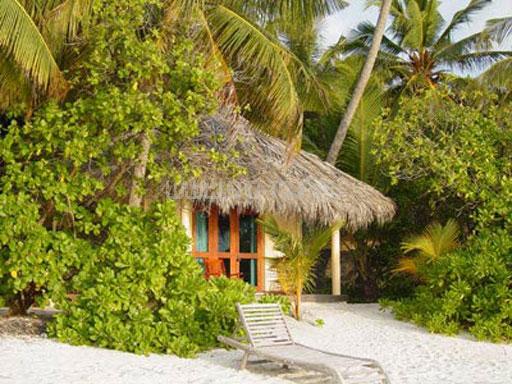 Отель Chaaya Reef Ellaidhoo 4*