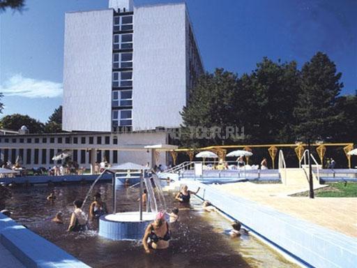 Внешний вид