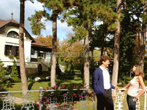 Территория