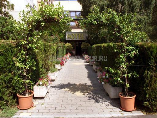 Внешний вид