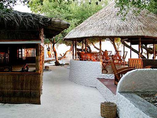 Бар для серферов