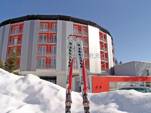 Внешний вид