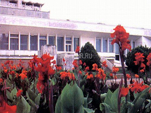 Внешний вид