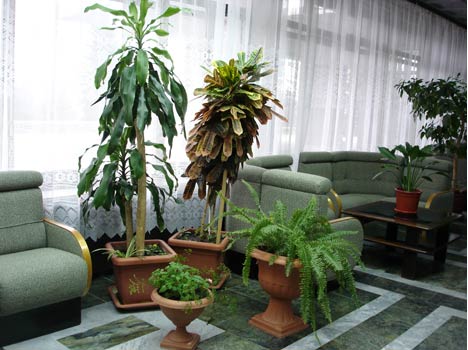 Санаторий «имени Кирова» Пятигорск