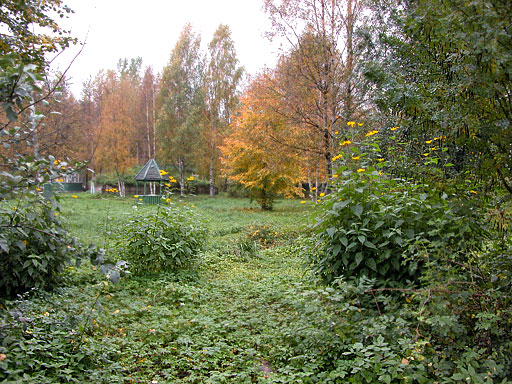 На территории