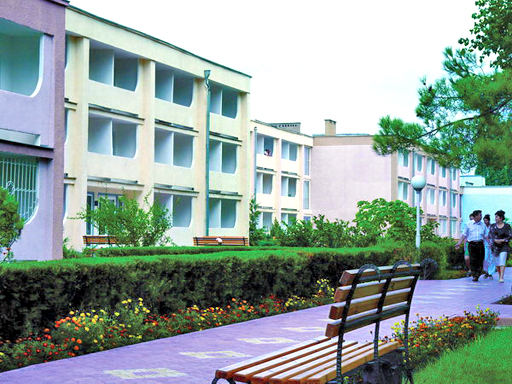 Территория