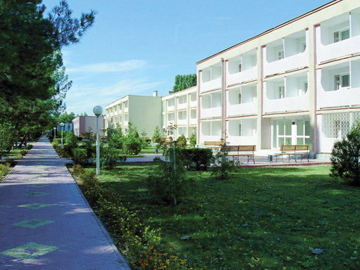 Территория