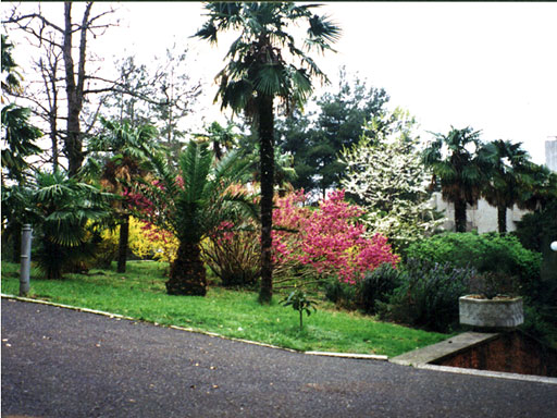 На территории