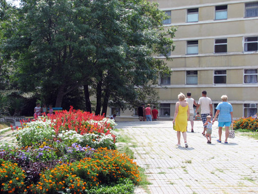 Внешний вид