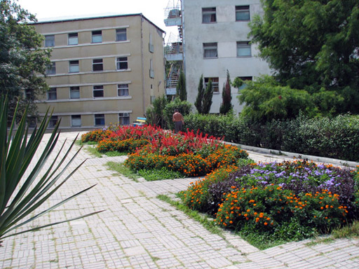 Внешний вид