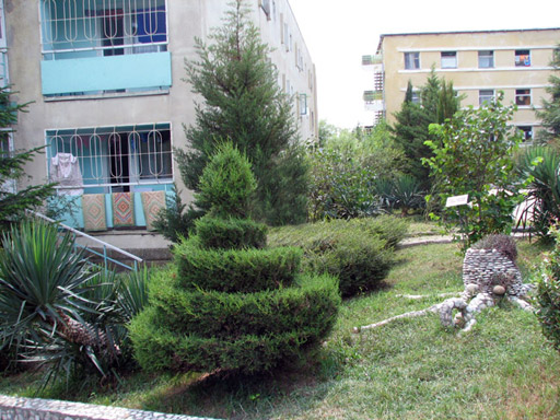 Территория