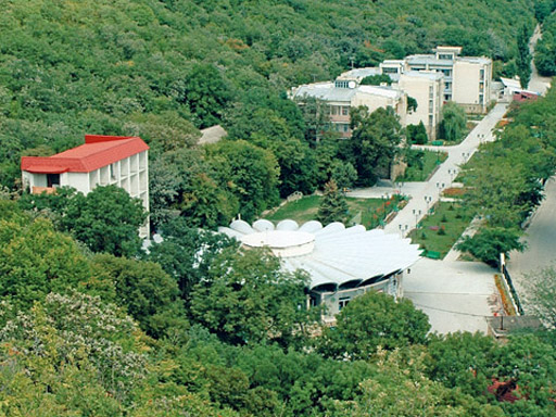 Территория