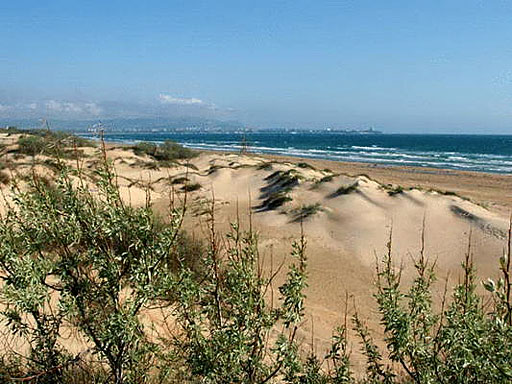 Окресности