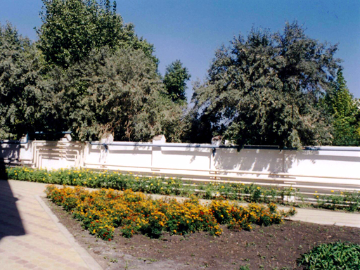 На территории