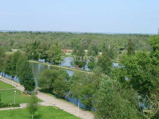 Территория