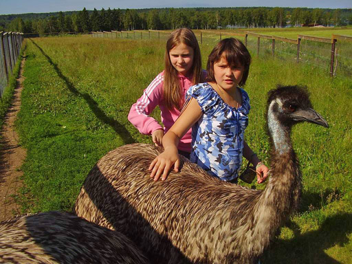 ДОЛ «Волна»