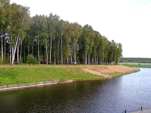 Территория