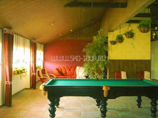 Бильярдный стол