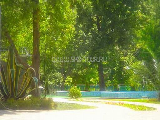 Территория