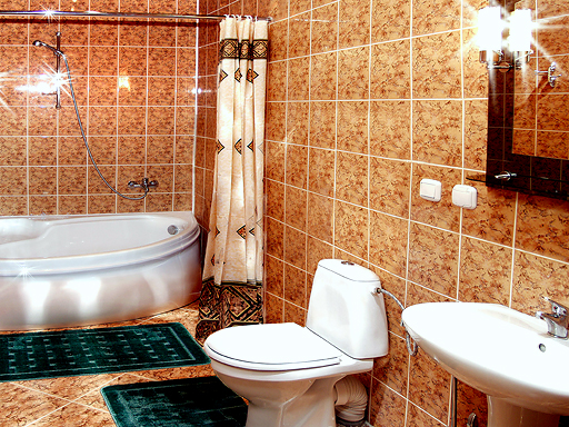 Номер люкс санузел