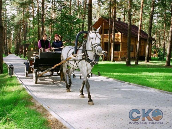 Конная прогулка