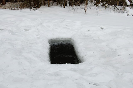 отель «Улиткино»