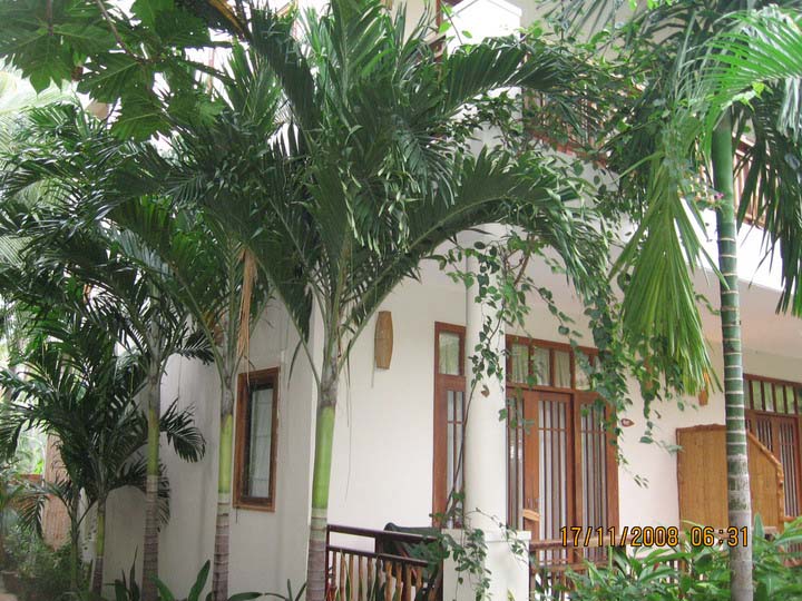Bamboo Village Beach Resort and Spa