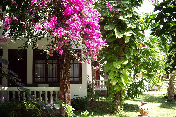 Terracotta Resort and Spa