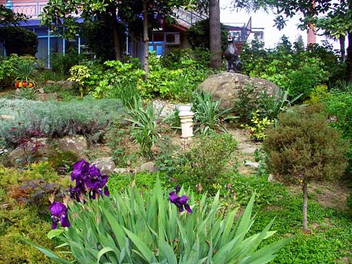 Территория