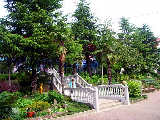 Территория