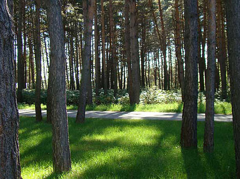 Дракино парк