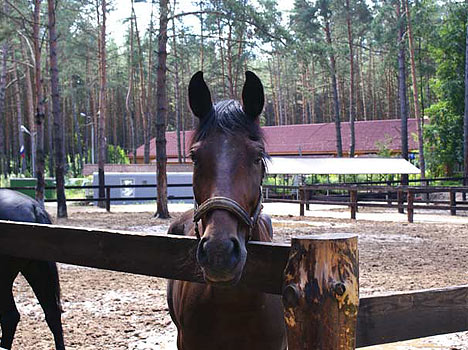 Дракино парк