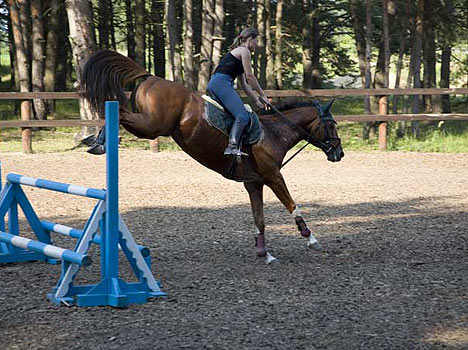 Дракино парк